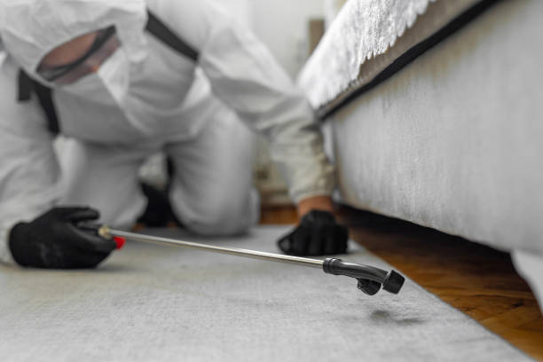 Professional Pest Control technician working in Grant County County, AR